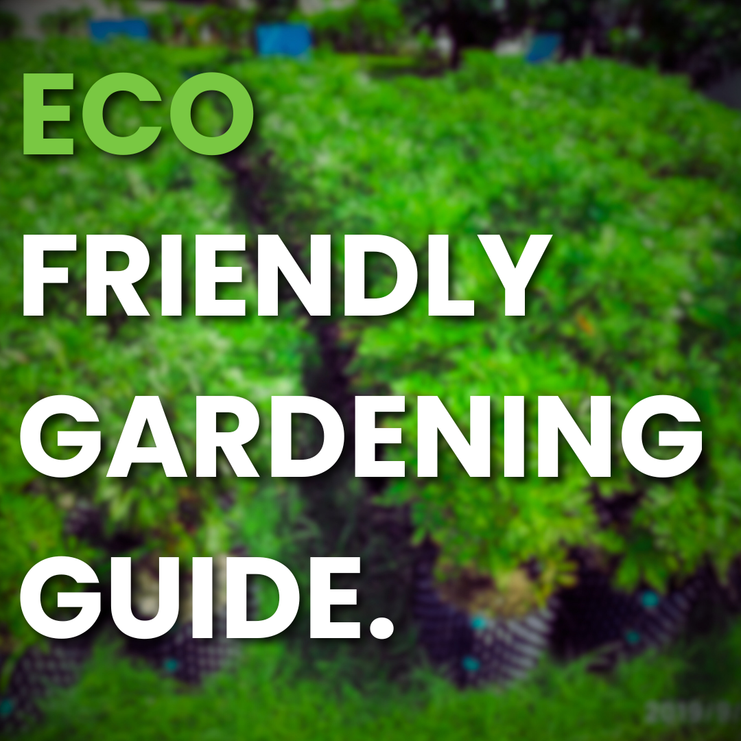 Eco-Friendly Gardening: 5 Ways Alpha Planters Help You Reduce Your Carbon Footprint 🌾