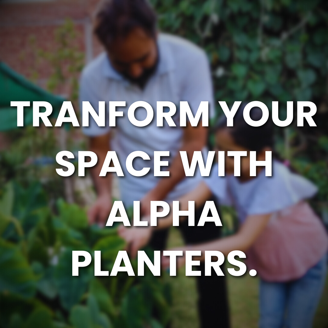 Urban Gardening Made Easy: Transform Small Spaces with Alpha Planters 🌸