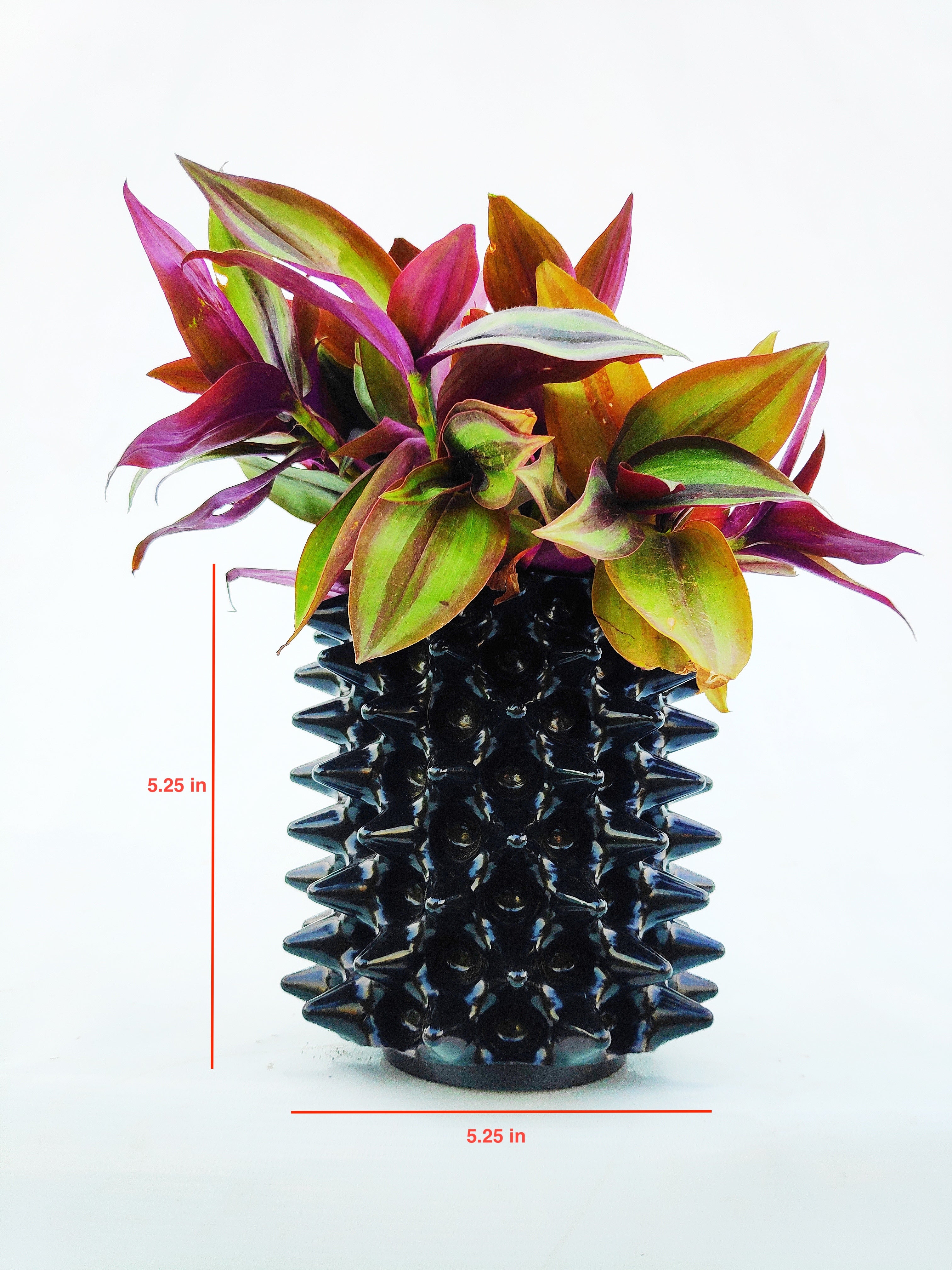 Alpha Pot Small