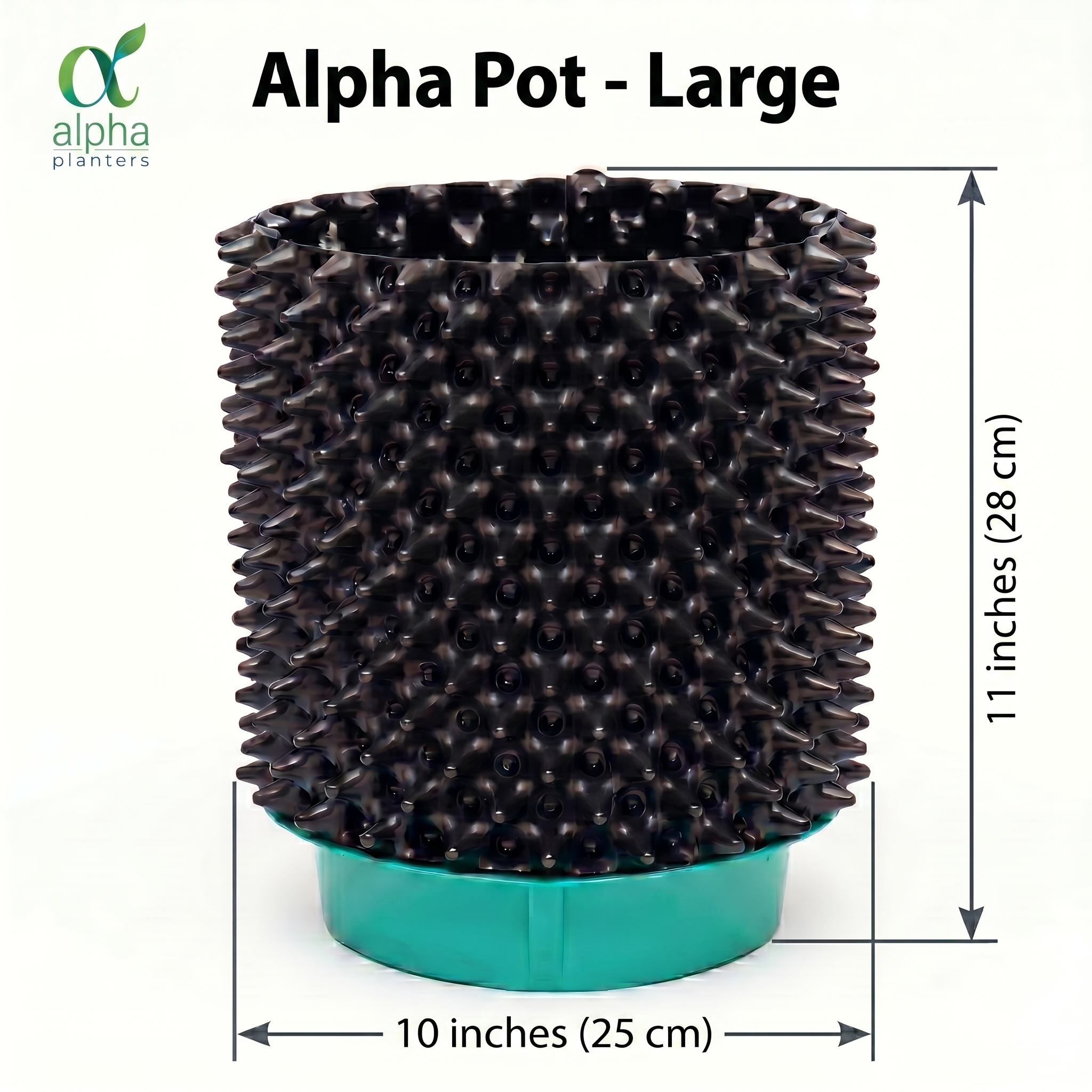 Alpha Pot Large