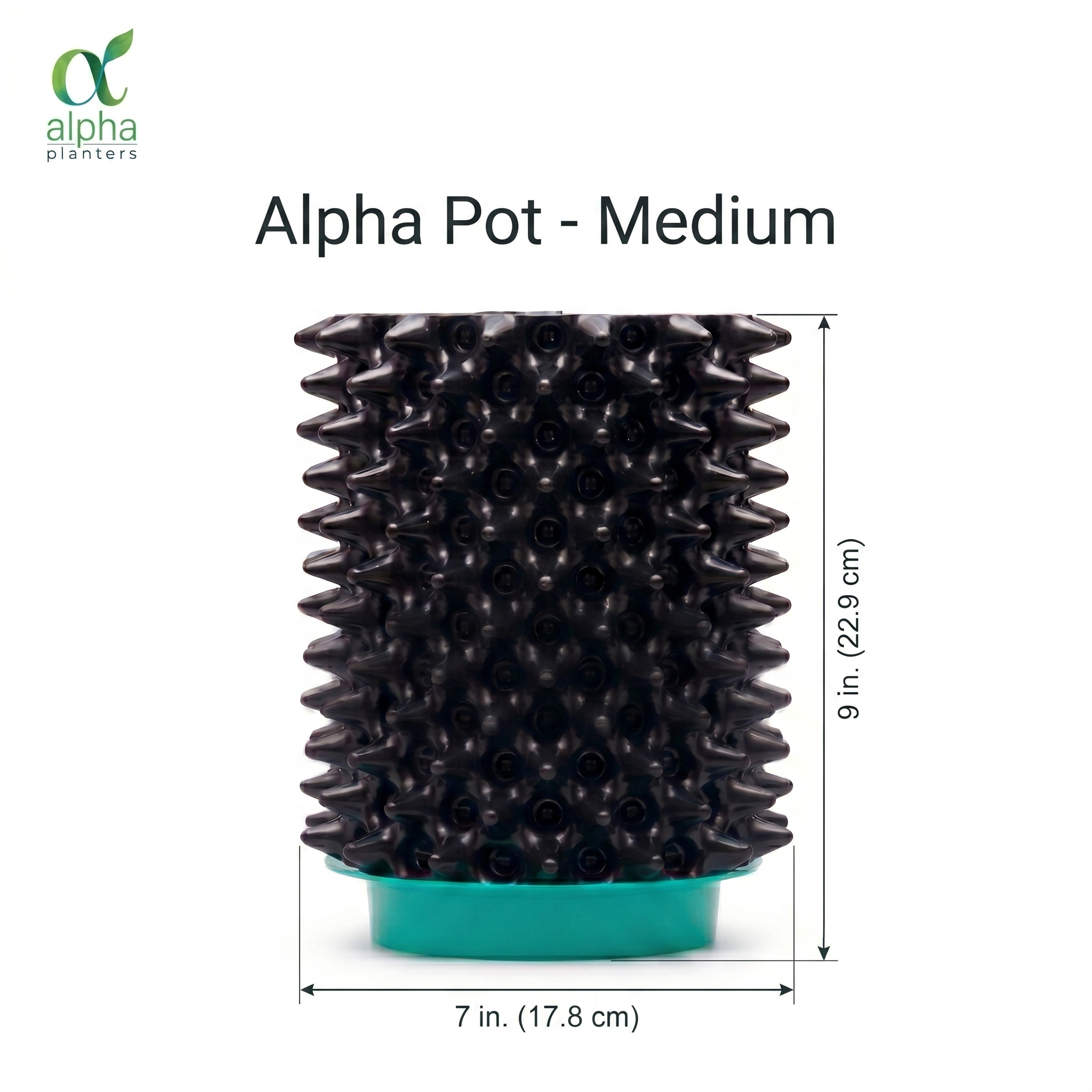Alpha Pot Medium