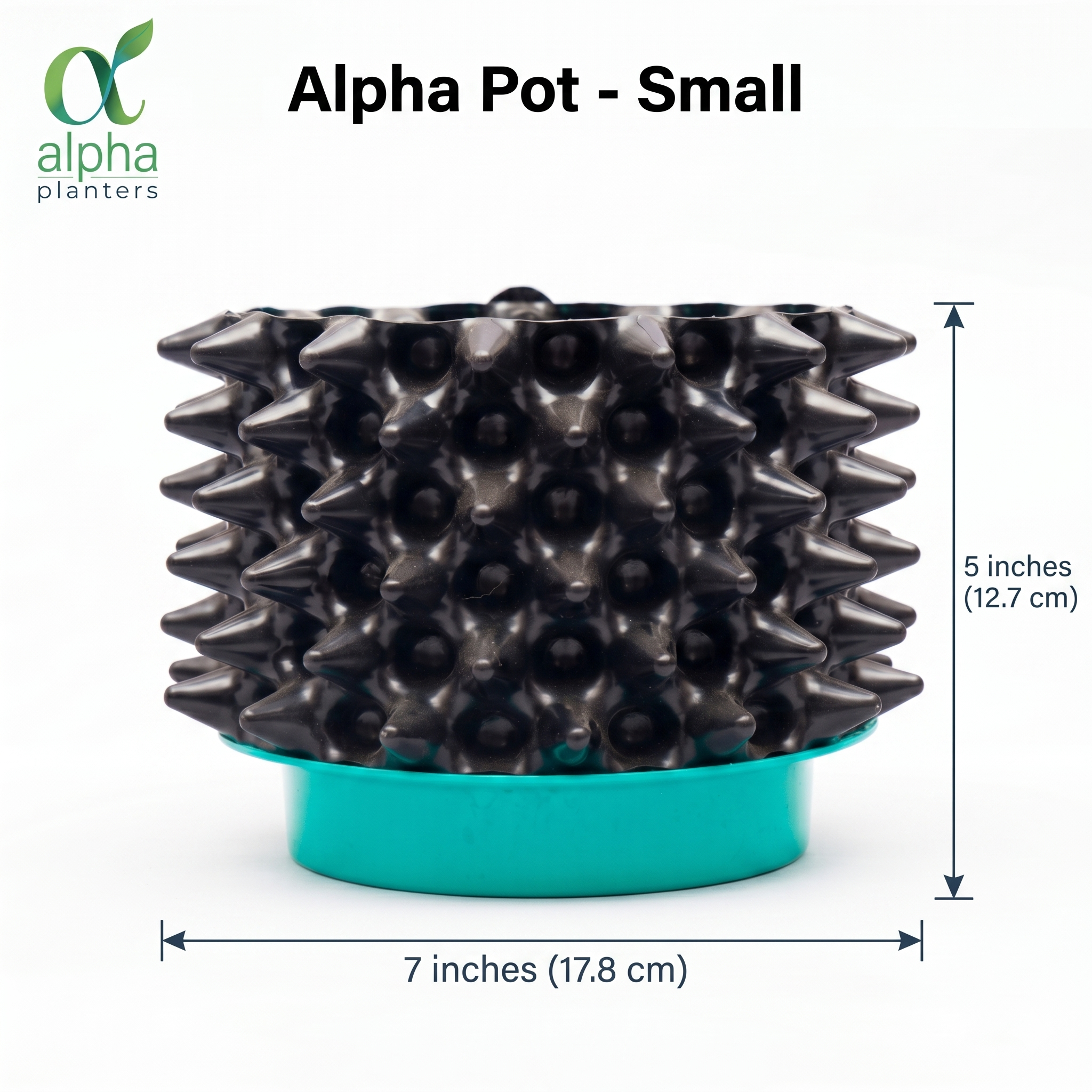 Alpha Combo Pack