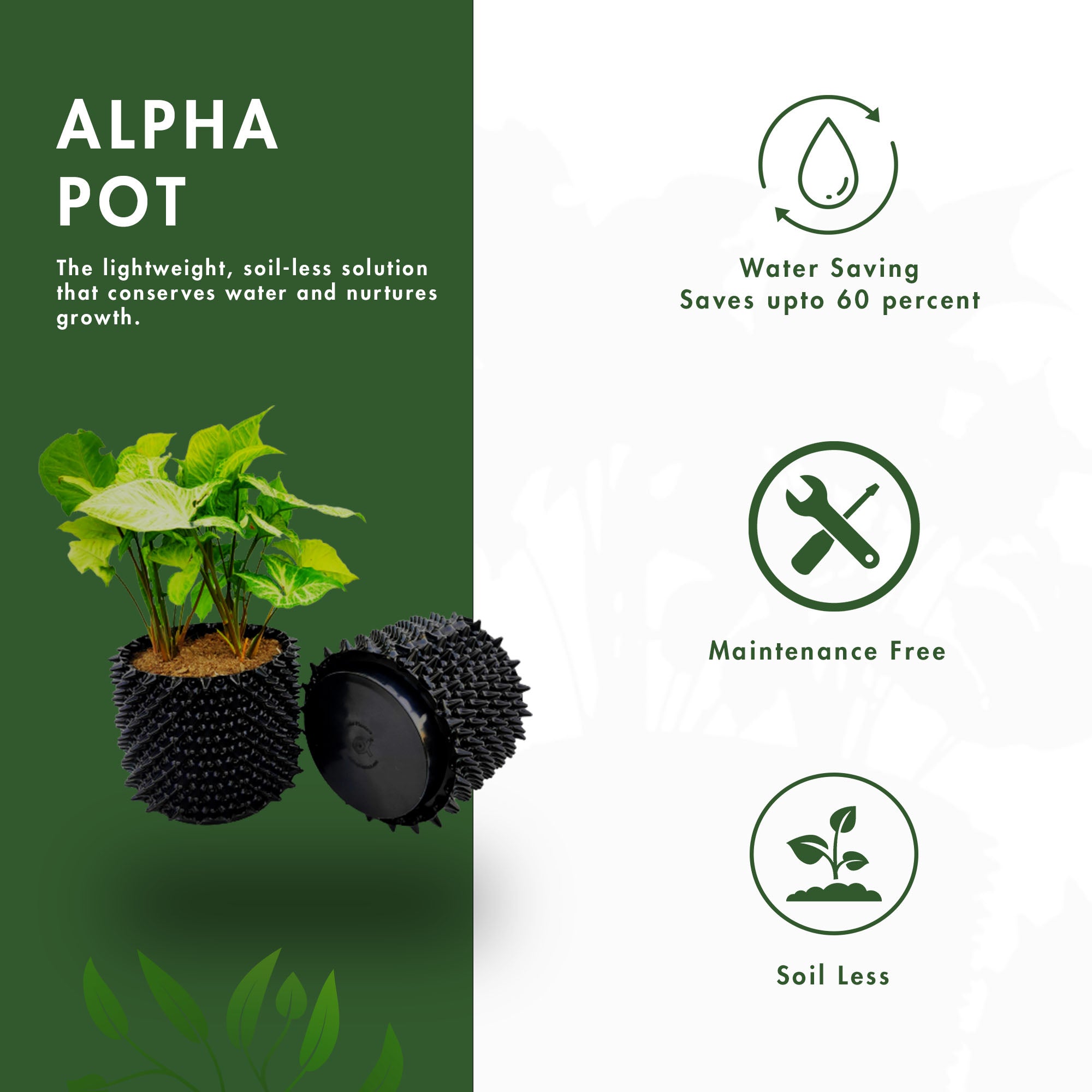 alpha pot benefits